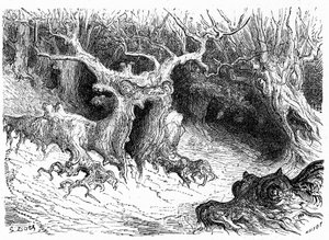 奥索山谷的怪异山毛榉，反形态怪树。古斯塔夫-多尔（Gustave Dore）为 1860 年出版的《希波吕特-泰恩的比利牛斯之旅》（Voyage aux Pyrenees d