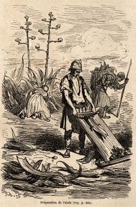 古斯塔夫-多尔（1832-1883）绘制的芦荟或龙舌兰的制备方法，用于去除用于驾驭马匹的绳索，叶子用于制作田间围栏，以说明他1862年与C.Davillier的西班牙之旅。雕刻在 "世界之旅 "中，编者注。 作者 古斯塔夫·多尔（Gustave Dore）