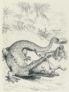 "蒙乔生男爵历险记》（Munchhausen）：大无畏的蒙乔生男爵被一头狮子追赶，途中遇到一条巨大的鳄鱼，鳄鱼将狮子吞食。古斯塔夫-多雷的插图 19 世纪末。 作者 古斯塔夫·多尔（Gustave Dore）
