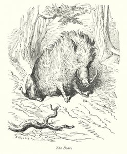 野猪（雕刻） 作者 古斯塔夫·多尔（Gustave Dore）