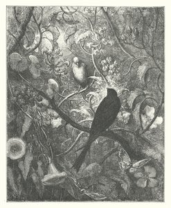 拉封丹的寓言：菲洛梅尔和普罗涅（版画） 作者 古斯塔夫·多尔（Gustave Dore）