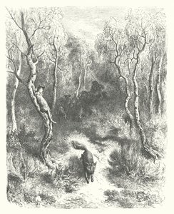 拉封丹寓言：猫和狐》（版画） 作者 古斯塔夫·多尔（Gustave Dore）