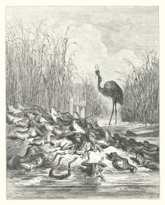 拉封丹寓言：要求称王的青蛙（雕刻） 作者 古斯塔夫·多尔（Gustave Dore）