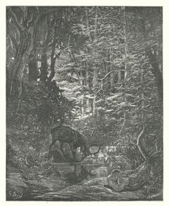 拉封丹的寓言：溪流中的雄鹿在观看自己（雕刻） 作者 古斯塔夫·多尔（Gustave Dore）