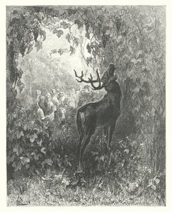 拉封丹寓言雄鹿与葡萄树（雕刻） 作者 古斯塔夫·多尔（Gustave Dore）