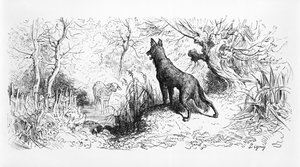 &39;狼与羔羊&39;，来自&39;寓言&39;的插图，来自Jean de La Fontaine（1621-95）1868 作者 古斯塔夫·多尔（Gustave Dore）