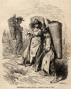 Xeres 的采摘者。 古斯塔夫·多尔（Gustave Dore，1832-1883 年）的绘画，以说明他 1862 年的西班牙之行，与 Ch. 戴维利耶。 雕刻在“Le tour du monde”，Edouard Charton 编辑 作者 古斯塔夫·多尔（Gustave Dore）