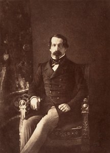 路易-拿破仑-波拿巴作为亲王总统的画像，1852年。 作者 古斯塔夫·勒格雷