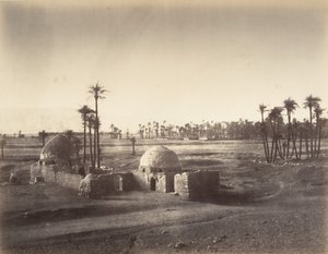 从卡尔纳克神庙拍摄的底比斯平原景色，1867年。 作者 古斯塔夫·勒格雷