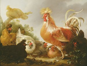 公鸡和母鸡在风景中，1649年 作者 Gysbert Hondecoeter