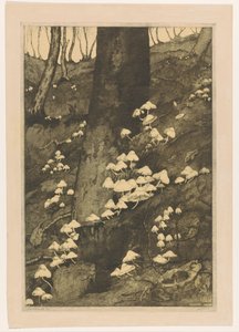 森林里的蘑菇 秋天（原名） 作者 HC Spruit（艺术家签名）