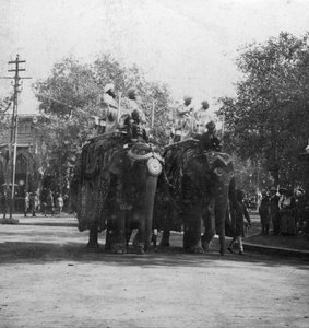 1900年代，印度德里的旁遮普公主在游行队伍中骑象。
