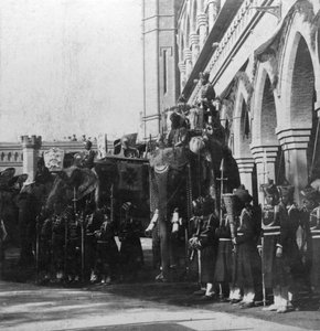 1900年代，印度德里的总督大象。