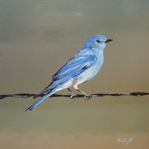  作者 哈德利·兰普顿