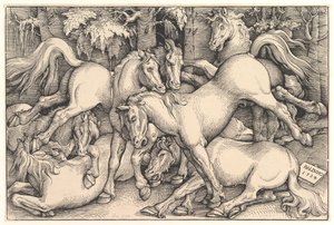 七匹马小组，1534年。 作者 汉斯·鲍登