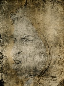 傻瓜的头 作者 汉斯·巴尔登·格里恩
