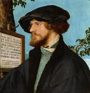 Bonifacius Amerbach的肖像，1519年（松木油）
