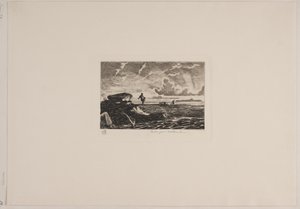 丹麦语：农夫走出田野