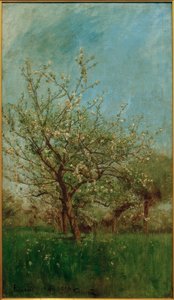 开花的树木 Uerdenbach
