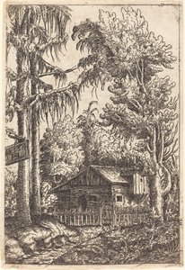 风景与农民的小屋，1551年。