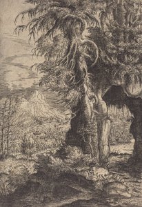 岩石上的门，1554年。 作者 汉斯·塞巴尔德·劳滕萨克