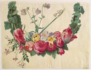 花藤 作者 汉斯-西蒙·霍尔茨贝克