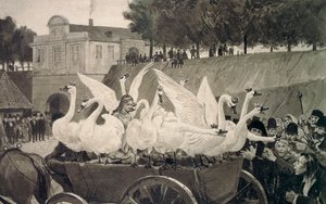 野生天鹅，汉斯-泰格纳（1853-1932）为安徒生（1805-1875）的童话所作的插图。 作者 汉斯·泰格纳