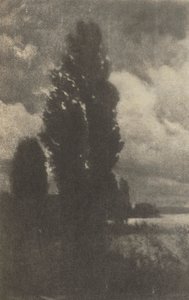 相机作品。杨树和云，1906年。 作者 汉斯·瓦泽克