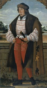 被称为克里斯托夫骑士的宫廷小丑，1515年 作者 汉斯·沃廷格来自