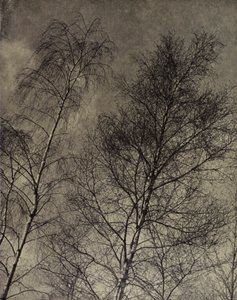 罗伯特-布里奇斯（Robert Bridges）（黑白照片），液态的天空中写下了他们的魅力。