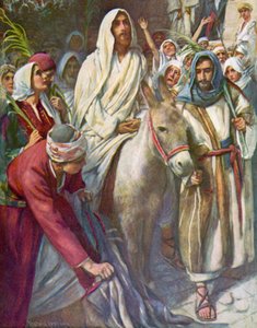  作者 哈罗德·应付