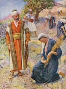 旧约路得在田间拾穗（彩色石版画） 作者 哈罗德·应付