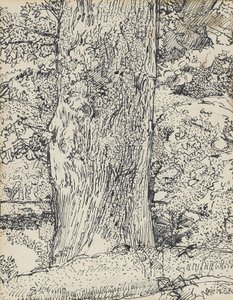 树，1916年 作者 哈罗德·吉尔曼