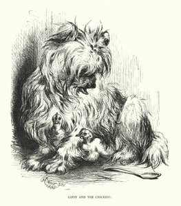 Gipsy and the chicken (engraving) 作者 哈里森·威廉·威尔