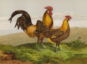金铅笔汉堡（chromolitho） 作者 哈里森·威廉·威尔