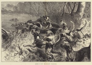 击中它，中肯特Staghounds
