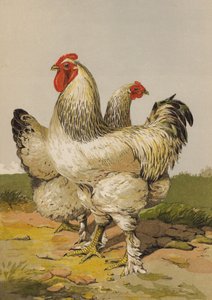 轻梵天（chromolitho） 作者 哈里森·威廉·威尔
