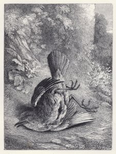 罗宾被他的跌倒惊呆了（版画） 作者 哈里森·威廉·威尔