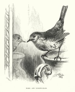 Robin and looking-glass (engraving) 作者 哈里森·威廉·威尔