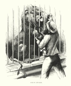 Sailor and lion (engraving) 作者 哈里森·威廉·威尔