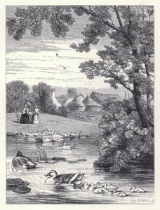 The Duck Pond (engraving) 作者 哈里森·威廉·威尔