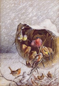 避风雨，1896年（石油和wc）