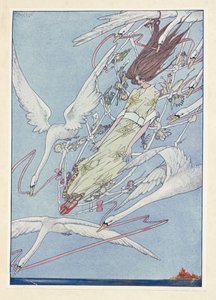 野天鹅。 他们一整天都在空中飞行。 作者 哈里·克拉克