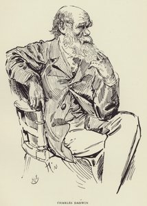 查尔斯·达尔文 作者 哈里·弗尼斯（Harry Furniss）