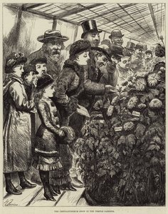 在寺庙庭院的菊花展示 作者 哈里·弗尼斯（Harry Furniss）