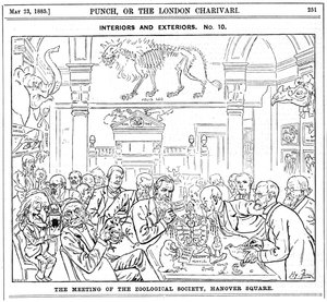 皇家动物学学会会议，汉诺威广场，伦敦，1885年 作者 哈里·弗尼斯（Harry Furniss）