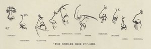 Noes-es（即政治家的鼻子）拥有它 - 1883 年（石版画） 作者 哈里·弗尼斯（Harry Furniss）