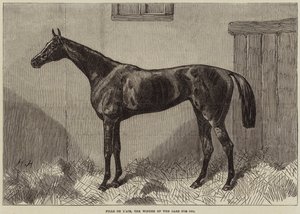 Fille de l&39;Air，1864年奥克斯的获奖者