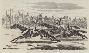 1857年Cesarewitch赌注的决定热火