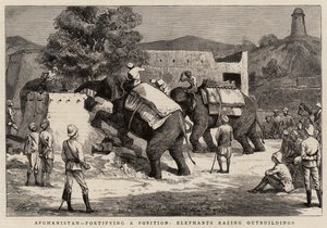 阿富汗，强化阵地，大象夷平附属建筑 作者 哈里·汉密尔顿·约翰斯顿